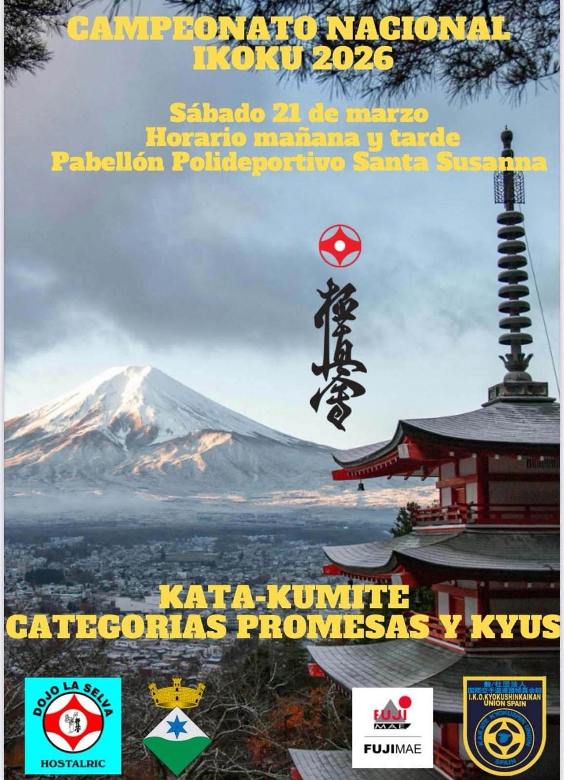 WhatsApp Image 2026-02-17 at 13.00.59